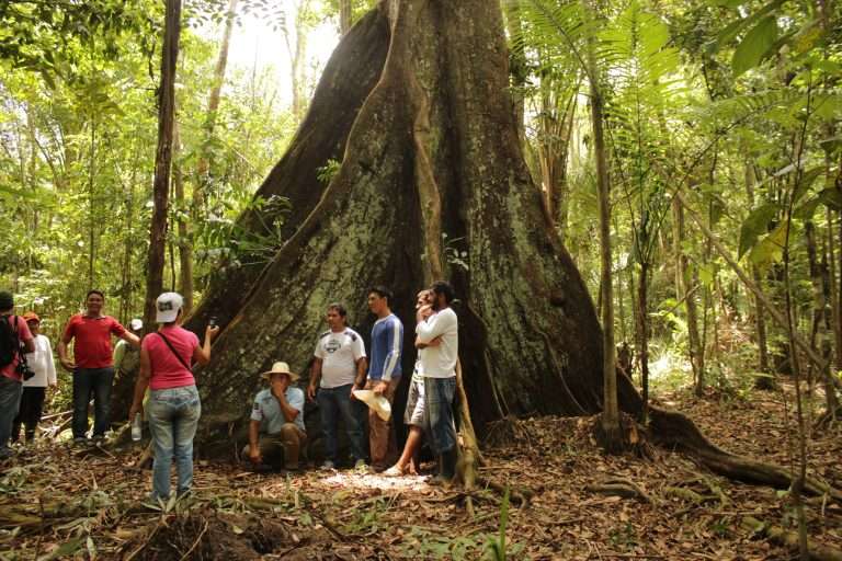 100% amazonia