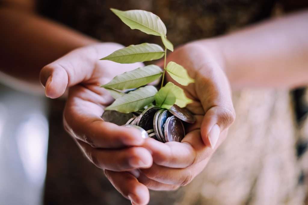 Mãos segurando cuidadosamente um pequeno broto verde que cresce sobre um punhado de moedas, representando a união entre recursos financeiros e preservação ambiental. A imagem simboliza o conceito de financiamento climático, essencial para viabilizar ações de mitigação e adaptação às mudanças climáticas, promovendo uma economia mais resiliente e sustentável.