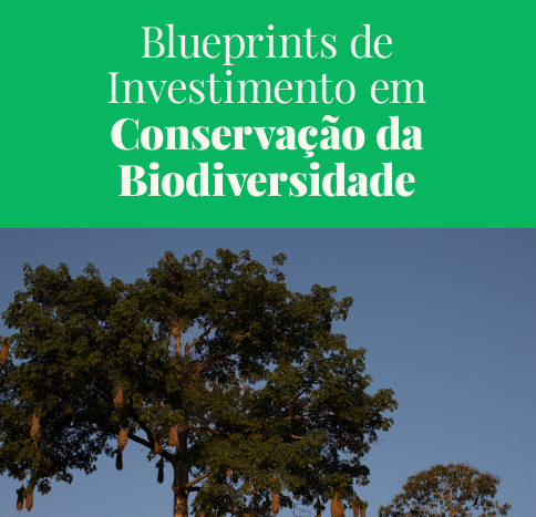 Blueprints de Investimento em Conservação da Biodiversidade (2)