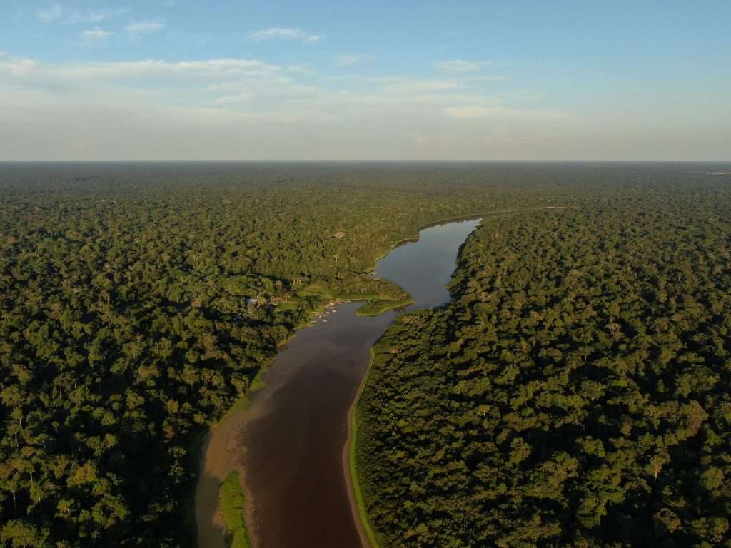 Imagem de uma floresta tropical representando a conservação da biodiversidade