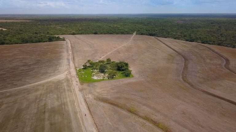 Imagem aérea de uma grande área desmatada com solo seco e avermelhado, onde apenas um pequeno fragmento de vegetação permanece intacto no centro. Ao fundo, observa-se a linha da floresta ainda preservada. A cena evidencia os efeitos do desmatamento sobre os ecossistemas, agravando as mudanças climáticas ao reduzir a capacidade de absorção de carbono, aumentar a temperatura e comprometer os ciclos hídricos.
