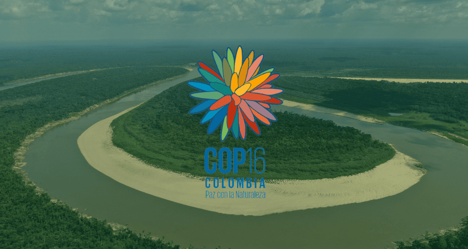Imagem da biodiversidade amazônica com a logomarca da COP 16.