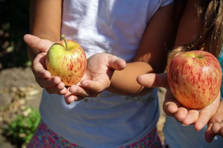 Ser sustentável trata-se de um estilo de vida que repensa escolhas em todas as áreas da nossa rotina, com foco em reduzir impactos negativos e adotar práticas mais conscientes.