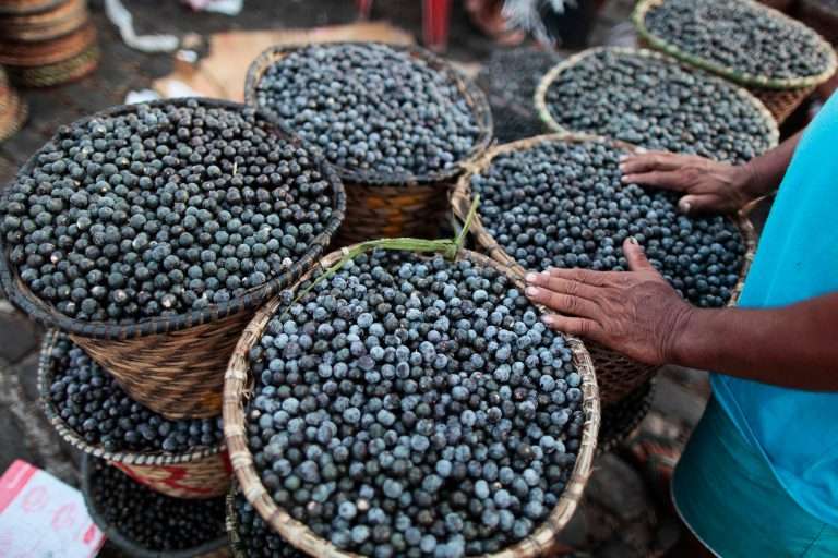 Cestos de palha cheios de açaí recém-colhido, dispostos lado a lado em um mercado a céu aberto. As mãos de uma pessoa, com pele marcada pelo trabalho, tocam um dos cestos, evidenciando a conexão com o saber tradicional e o trabalho comunitário na cadeia da sociobiodiversidade amazônica.