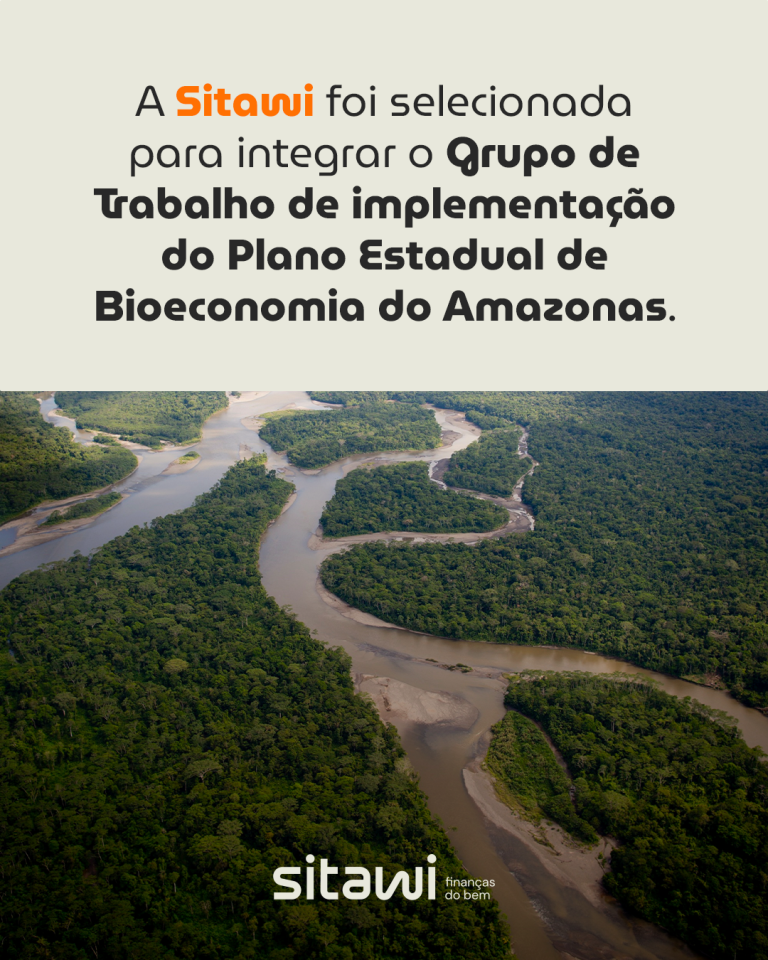 post_dia-da-amazonia_LinkedIn